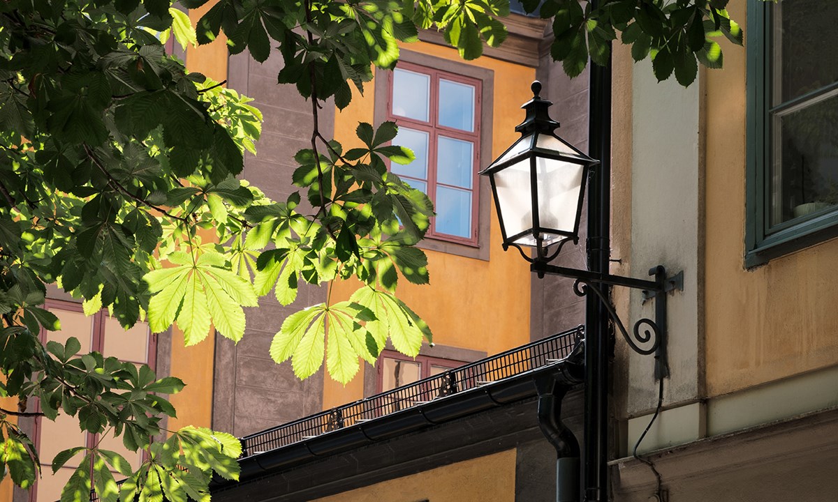 Shutterstock 1478789801 Low